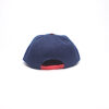Snap Back/ Blue with Red Reptile Brim