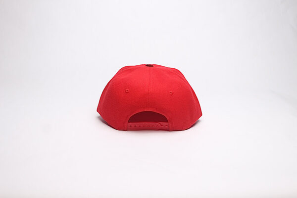 Snap Back/ Red with Red Reptile Brim