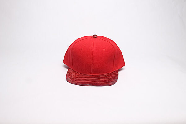 Snap Back/ Red with Red Reptile Brim