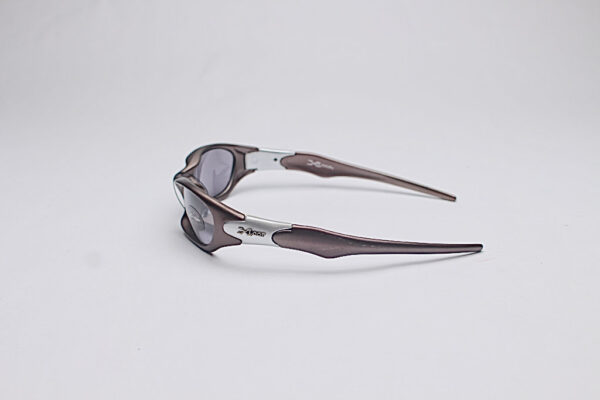 Dark Wings/ Brown and Silver